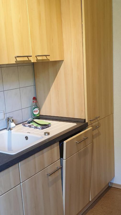 Ferienwohnung An Der Begerburg دريسدن المظهر الخارجي الصورة