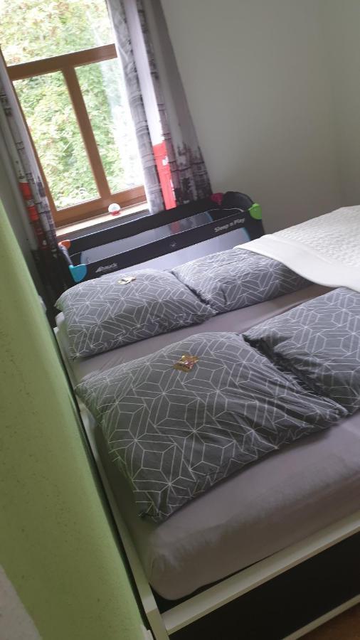 Ferienwohnung An Der Begerburg دريسدن المظهر الخارجي الصورة